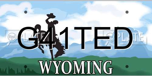 G41TED Wyoming License Plate