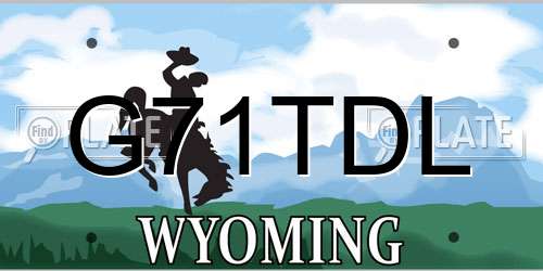 G71TDL Wyoming License Plate