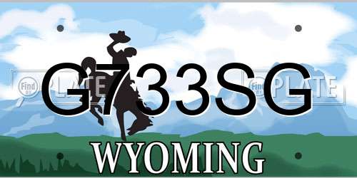 G733SG Wyoming License Plate