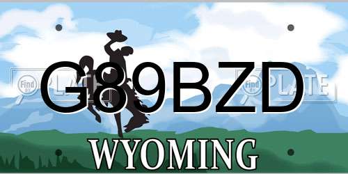 G89BZD Wyoming License Plate