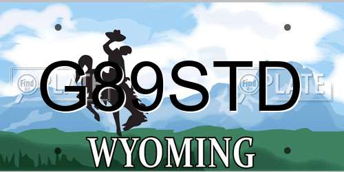 G89STD Wyoming License Plate