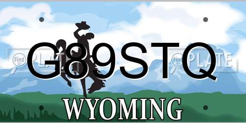 G89STQ Wyoming License Plate