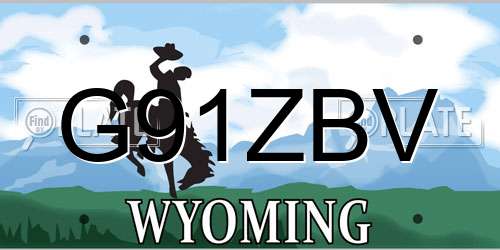 G91ZBV Wyoming License Plate