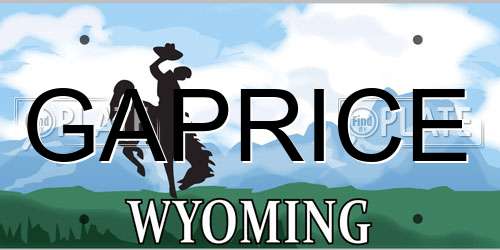 GAPRICE Wyoming License Plate