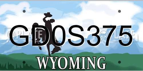 GD0S375 Wyoming License Plate