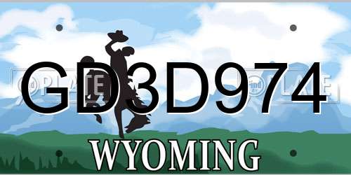 GD3D974 Wyoming License Plate