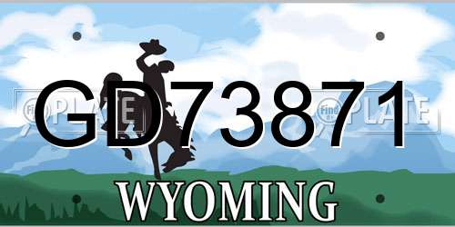 GD73871 Wyoming License Plate