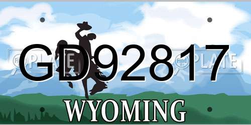 GD92817 Wyoming License Plate