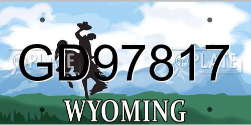 GD97817 Wyoming License Plate