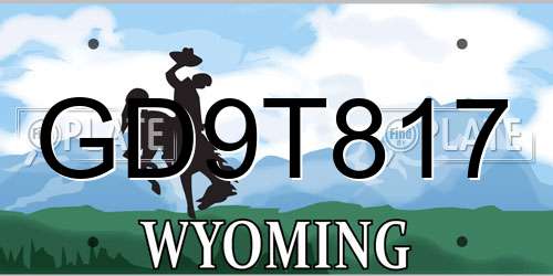 GD9T817 Wyoming License Plate