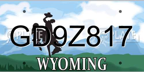 GD9Z817 Wyoming License Plate