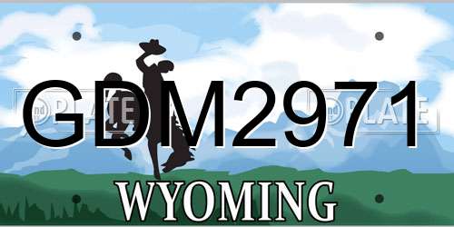 GDM2971 Wyoming License Plate