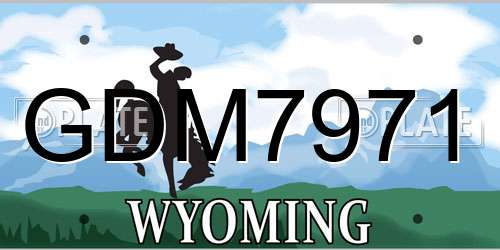 GDM7971 Wyoming License Plate