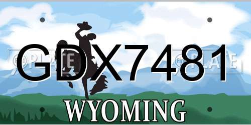 GDX7481 Wyoming License Plate