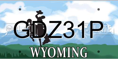 GDZ31P Wyoming License Plate