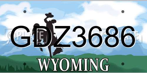 GDZ3686 Wyoming License Plate