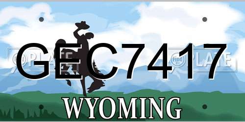 GEC7417 Wyoming License Plate