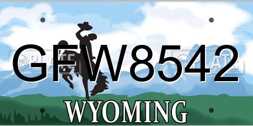 GFW8542 Wyoming License Plate
