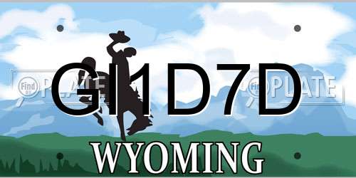GI1D7D Wyoming License Plate