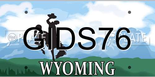 GIDS76 Wyoming License Plate