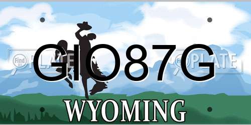 GIO87G Wyoming License Plate