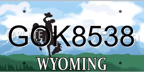 GOK8538 Wyoming License Plate