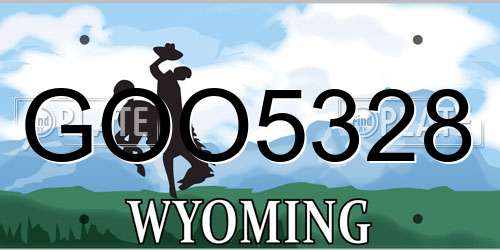GOO5328 Wyoming License Plate