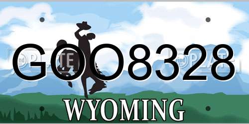 GOO8328 Wyoming License Plate