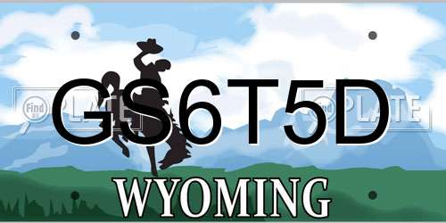 GS6T5D Wyoming License Plate