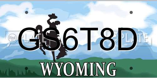 GS6T8D Wyoming License Plate