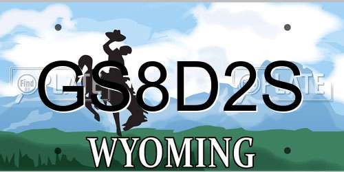 GS8D2S Wyoming License Plate
