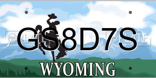 GS8D7S Wyoming License Plate