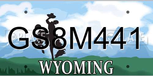 GS8M441 Wyoming License Plate