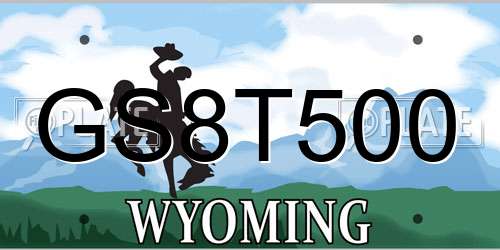 GS8T500 Wyoming License Plate