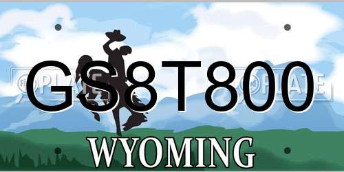GS8T800 Wyoming License Plate