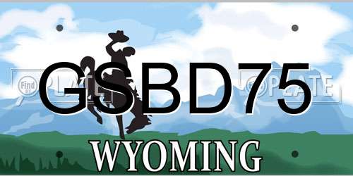 GSBD75 Wyoming License Plate