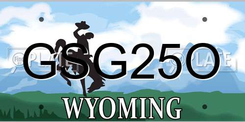 GSG25O Wyoming License Plate