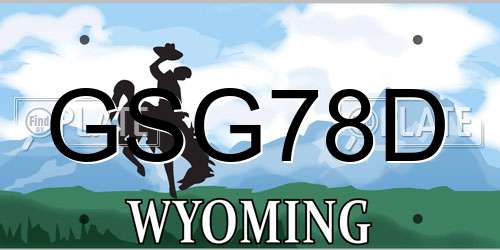 GSG78D Wyoming License Plate