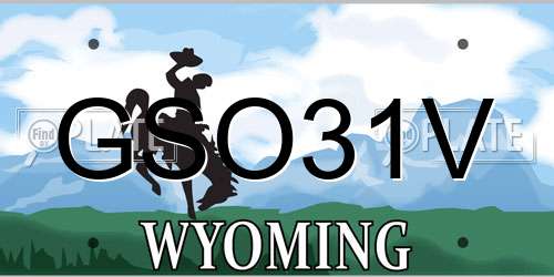 GSO31V Wyoming License Plate