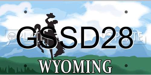 GSSD28 Wyoming License Plate