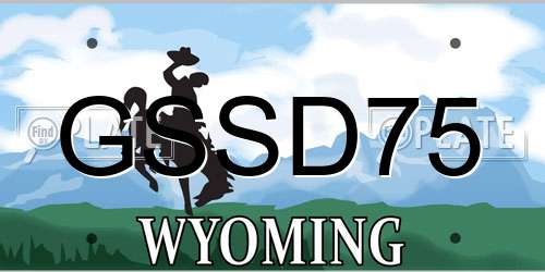 GSSD75 Wyoming License Plate