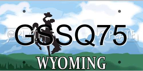 GSSQ75 Wyoming License Plate