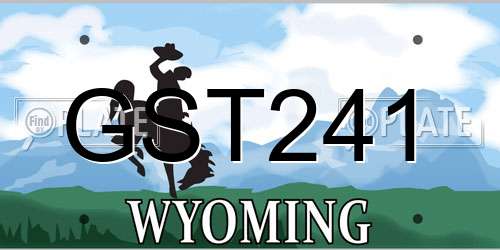 GST241 Wyoming License Plate