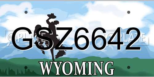 GSZ6642 Wyoming License Plate