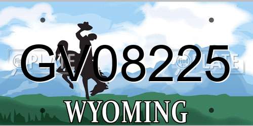 GV08225 Wyoming License Plate