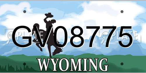 GV08775 Wyoming License Plate