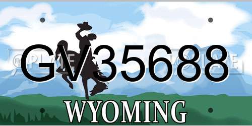 GV35688 Wyoming License Plate