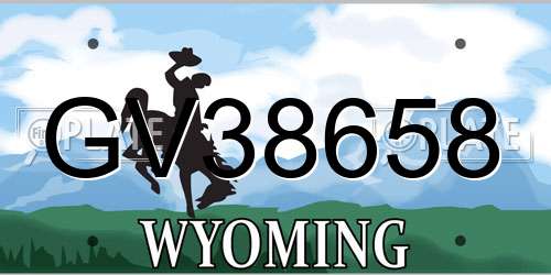 GV38658 Wyoming License Plate