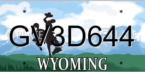 GV3D644 Wyoming License Plate