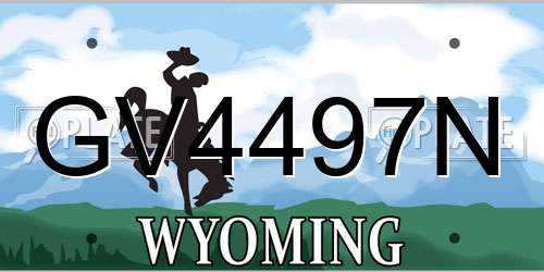 GV4497N Wyoming License Plate